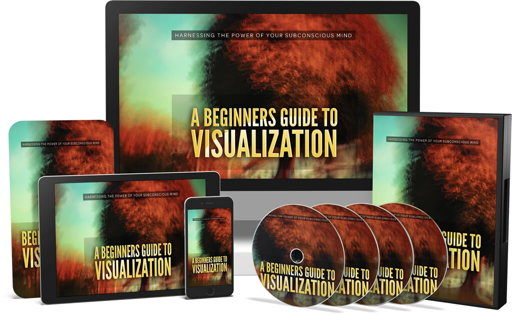 Beginner's Guide to Visualizations